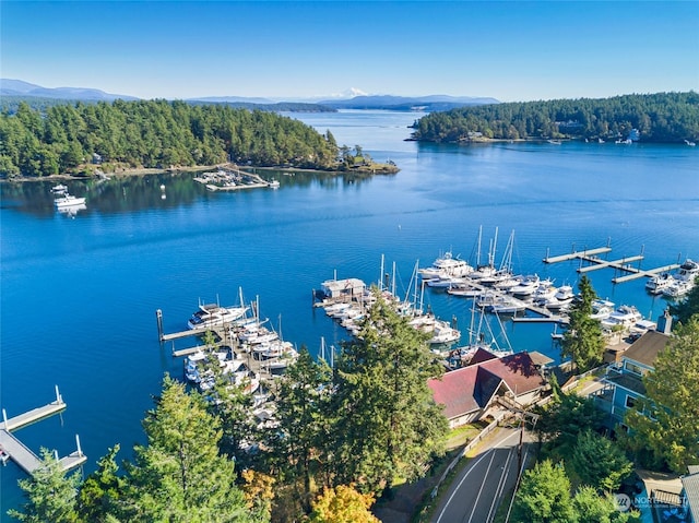620 Warbass Way Unit 27, Friday Harbor, WA 98250 - aerial view featuring a water and mountain view and a wooded view