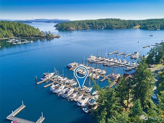 620 Warbass Way Unit 27, Friday Harbor, WA 98250 - bird's eye view featuring a water view and a forest view