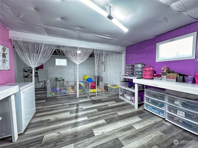 basement featuring hardwood / wood-style flooring