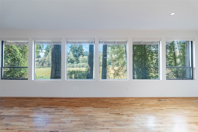 empty room with a wealth of natural light and light hardwood / wood-style floors