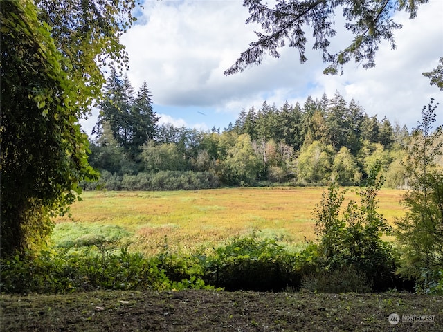 view of landscape