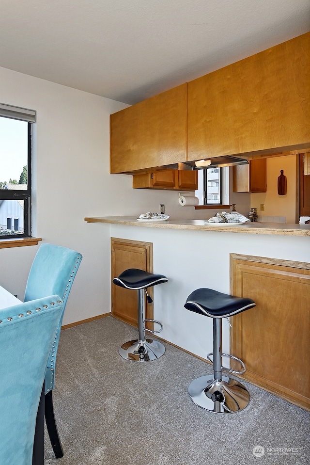 kitchen with light carpet