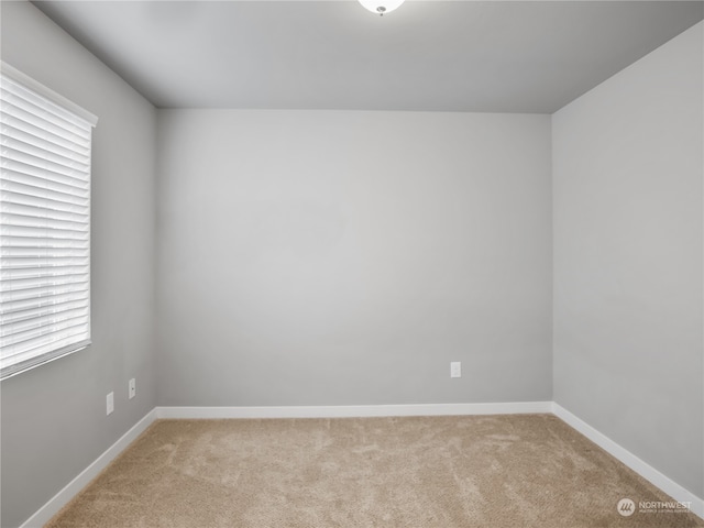 spare room with light colored carpet and a healthy amount of sunlight