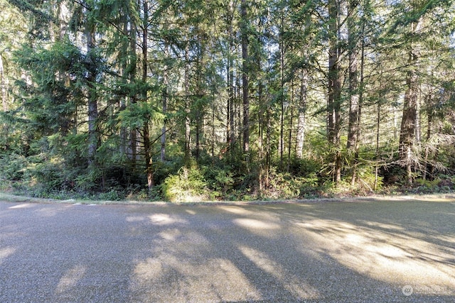 11303 113th Street Ct, Anderson Island WA, 98303 land for sale