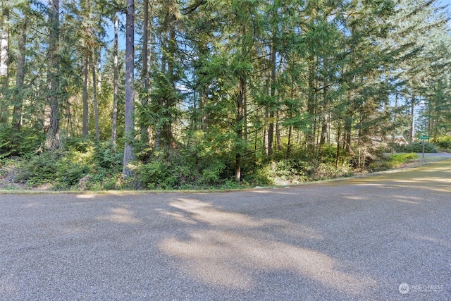 Listing photo 2 for 11303 113th Street Ct, Anderson Island WA 98303