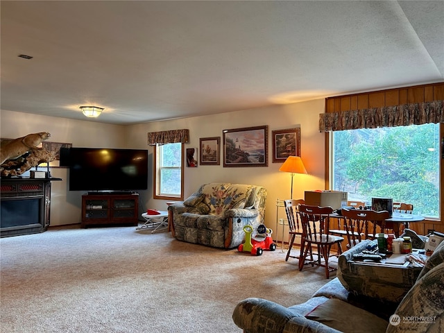 living room with carpet floors and a textured ceiling