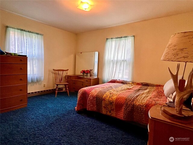 1410 E Sanpoil Rd, Keller, WA 99140 - bedroom with carpet