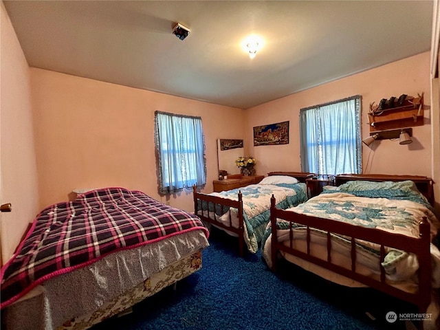 1410 E Sanpoil Rd, Keller, WA 99140 - bedroom featuring multiple windows and carpet flooring