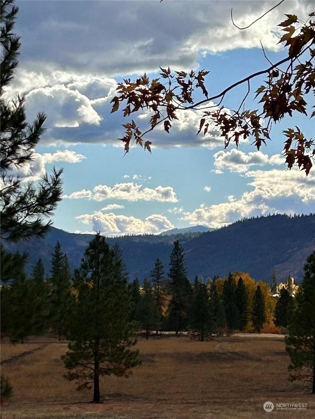 1410 E Sanpoil Rd, Keller, WA 99140 - mountain view featuring a forest