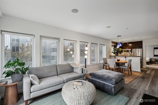 living room featuring dark wood-type flooring and plenty of natural light