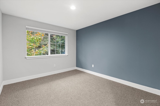 unfurnished room with carpet flooring