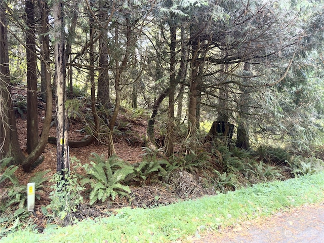 5751 NE Spruce Dr, Hansville, WA 98340 - photo 2