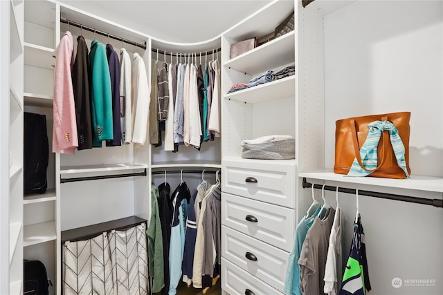 view of spacious closet