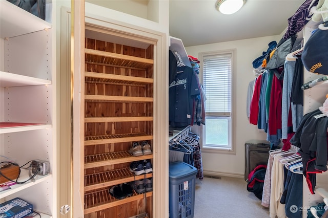 spacious closet featuring carpet