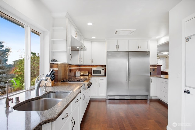 kitchen featuring exhaust hood, appliances with stainless steel finishes, white cabinetry, and plenty of natural light