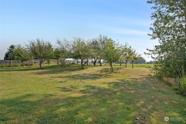 view of yard featuring a rural view