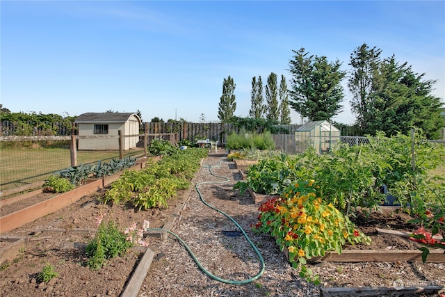 view of yard featuring a storage shed