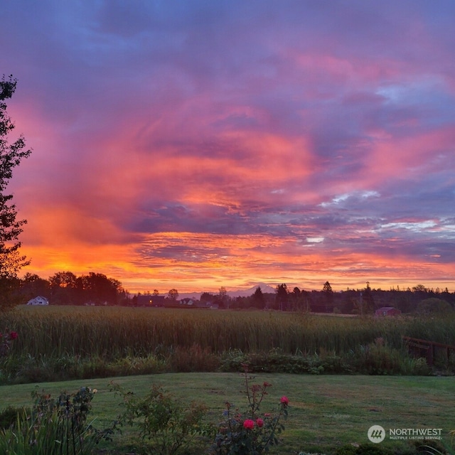 view of nature at dusk