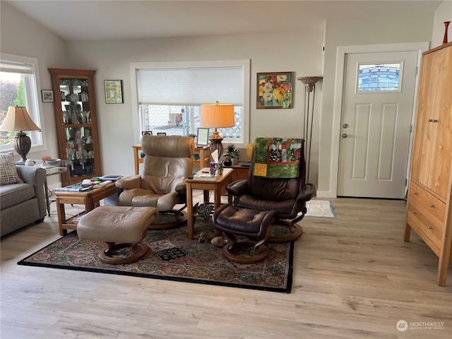 living room featuring vaulted ceiling and light hardwood / wood-style floors