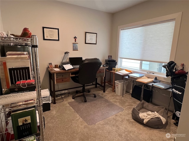 view of carpeted home office