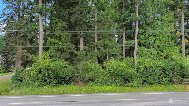 0 148th Ave SE, Yelm WA, 98597 land for sale