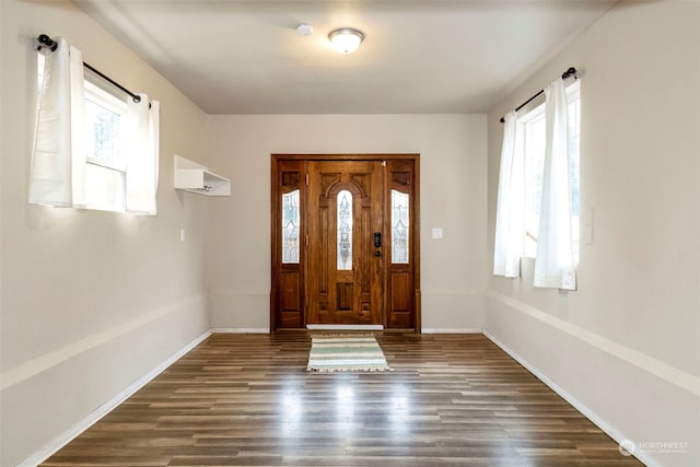 foyer entrance featuring dark hardwood / wood-style flooring and plenty of natural light