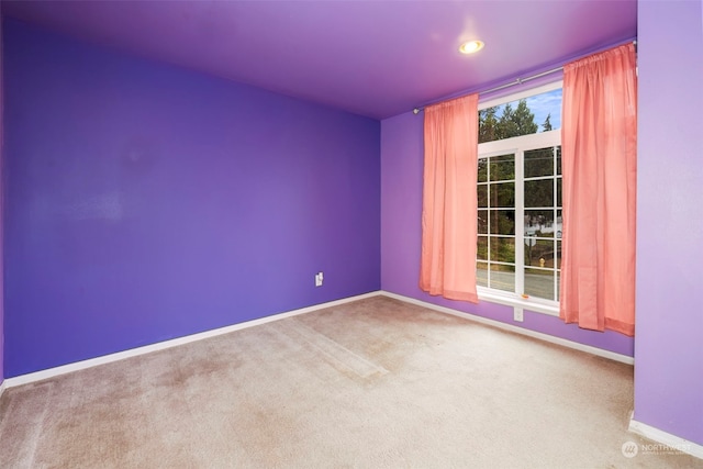 empty room featuring carpet floors