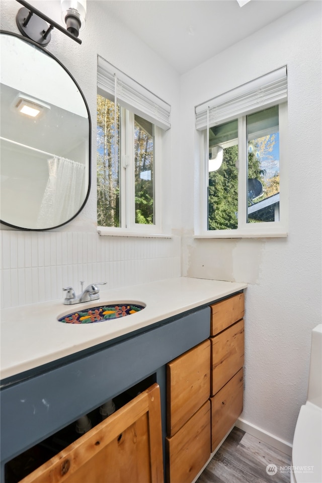 bathroom featuring vanity, hardwood / wood-style flooring, and toilet