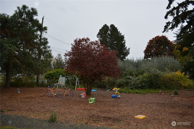 view of jungle gym