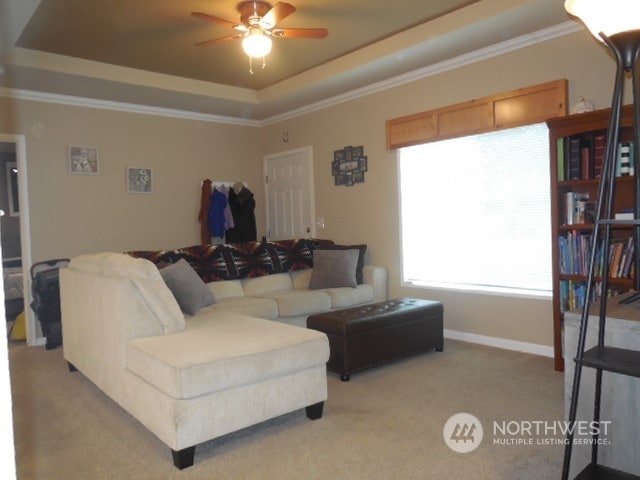 living room featuring crown molding, a raised ceiling, carpet floors, and ceiling fan