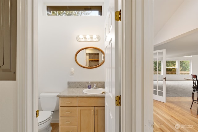 bathroom featuring vanity, toilet, a wealth of natural light, and hardwood / wood-style floors