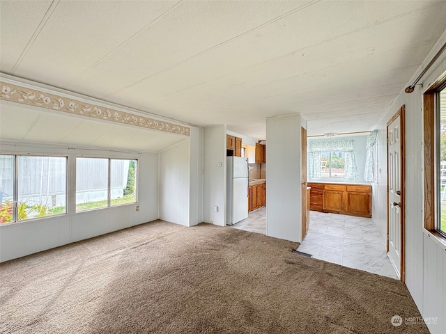 unfurnished living room featuring light colored carpet