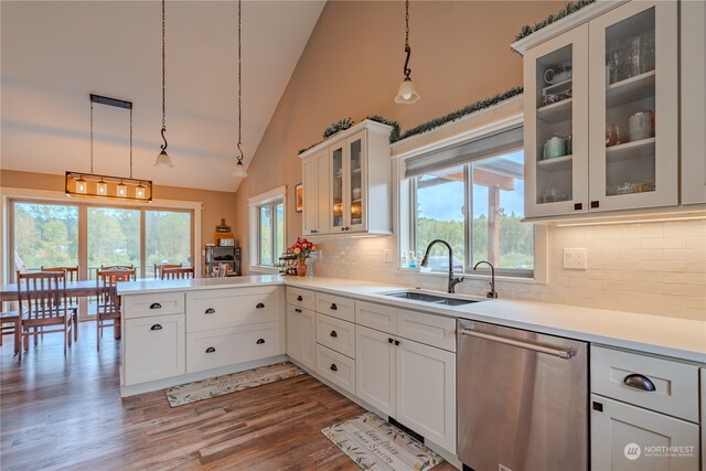 kitchen with light hardwood / wood-style floors, a wealth of natural light, stainless steel dishwasher, and hanging light fixtures