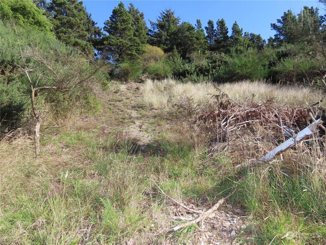 0XX Starr St, Westport, WA 98595