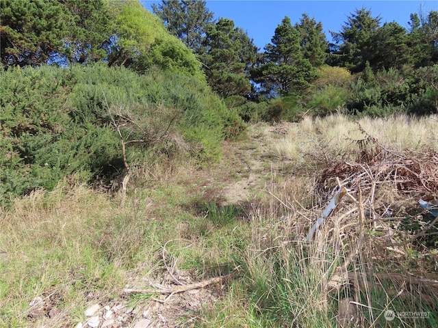 0XX Starr St, Westport, WA 98595