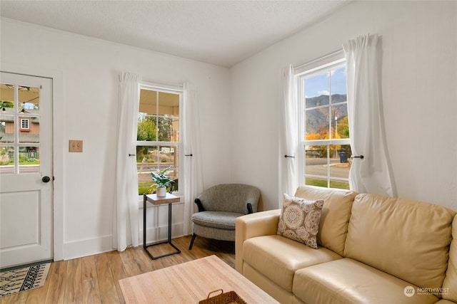 sitting room featuring light wood-type flooring, plenty of natural light, and a textured ceiling