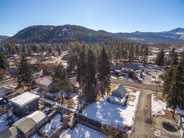 bird's eye view featuring a mountain view and a view of trees