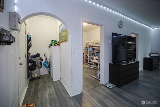 corridor with dark wood-type flooring