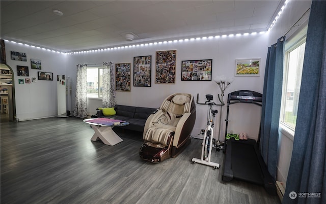 workout area featuring hardwood / wood-style flooring