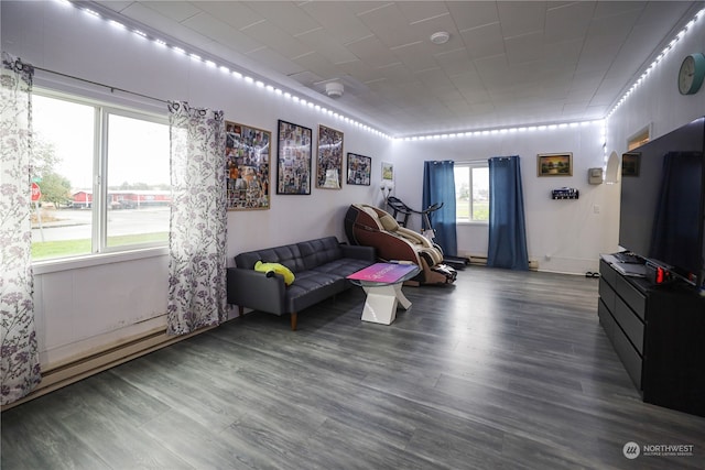 living room featuring hardwood / wood-style flooring