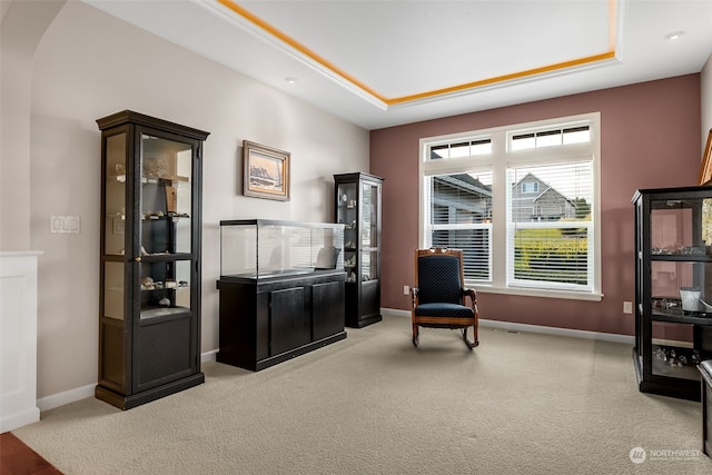 living area with a tray ceiling and carpet flooring