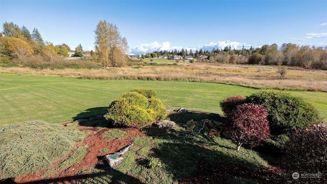 view of yard featuring a rural view