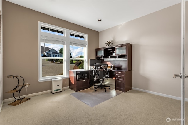 home office with light colored carpet