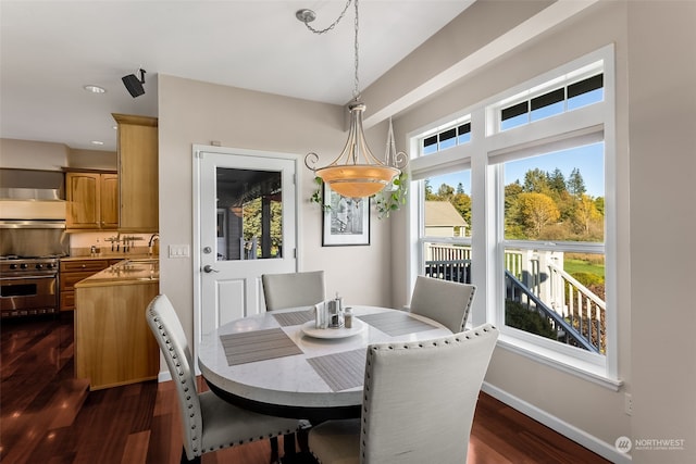 dining area featuring dark wood-type flooring and sink