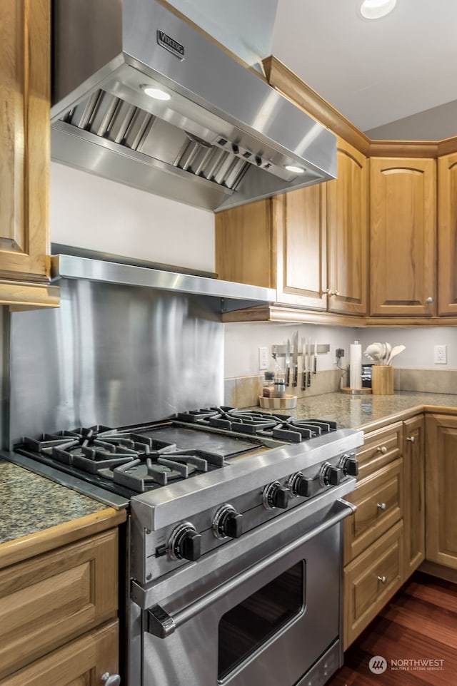 kitchen featuring extractor fan, stainless steel stove, and dark wood-type flooring