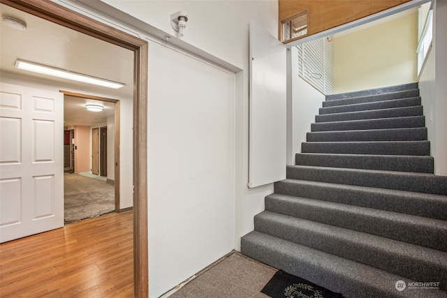 stairway with hardwood / wood-style floors