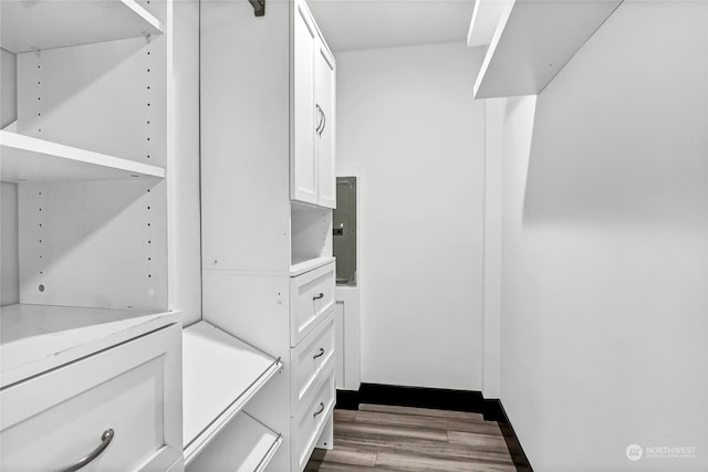 walk in closet featuring hardwood / wood-style flooring