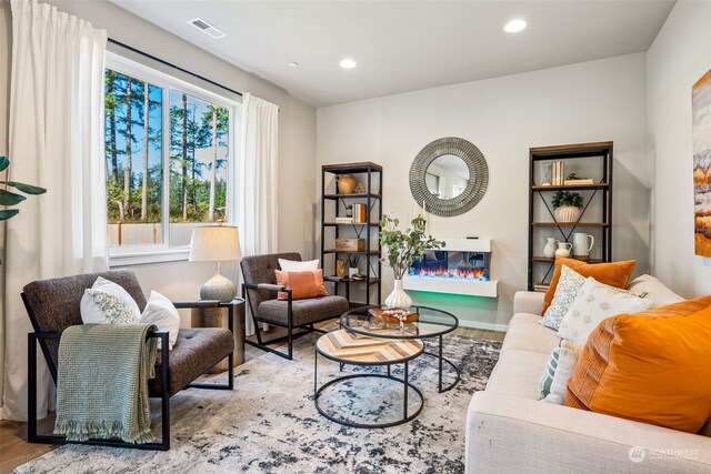 living room featuring wood-type flooring