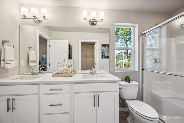 bathroom with vanity, toilet, and walk in shower