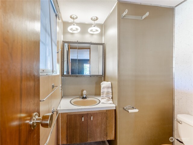 bathroom featuring vanity and toilet